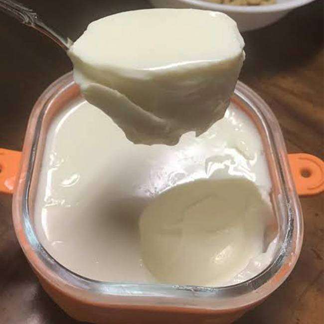 Iogurte Light Caseiro Fácil