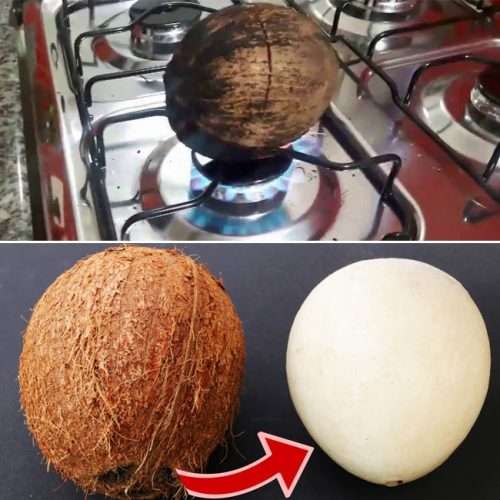 Como Descascar Coco de Maneira Fácil - Receita Natureba