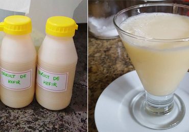 Receita de Yakult de Kefir