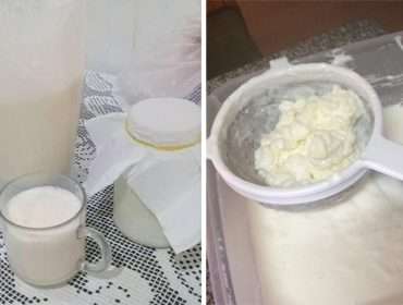 Kefir com Leite em Pó