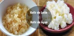 Kefir de Aguá ou Kefir de Leite