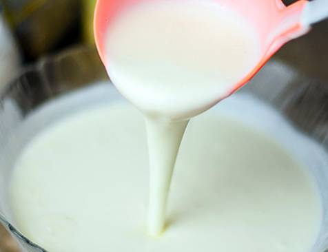 Iogurte Caseiro com Gelatina