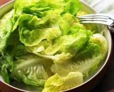 Salada Simples de Alface