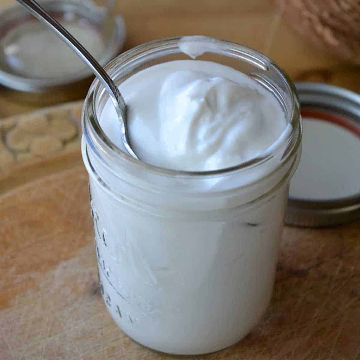 como fazer iogurte vegano