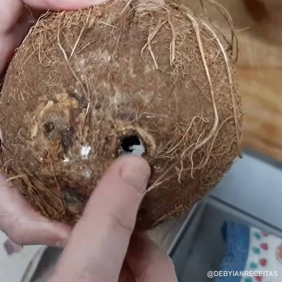 furando o coco