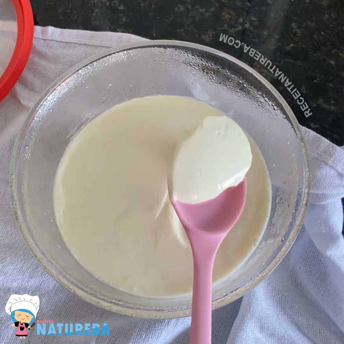 consistencia do iogurte apos fermentar e resfriar
