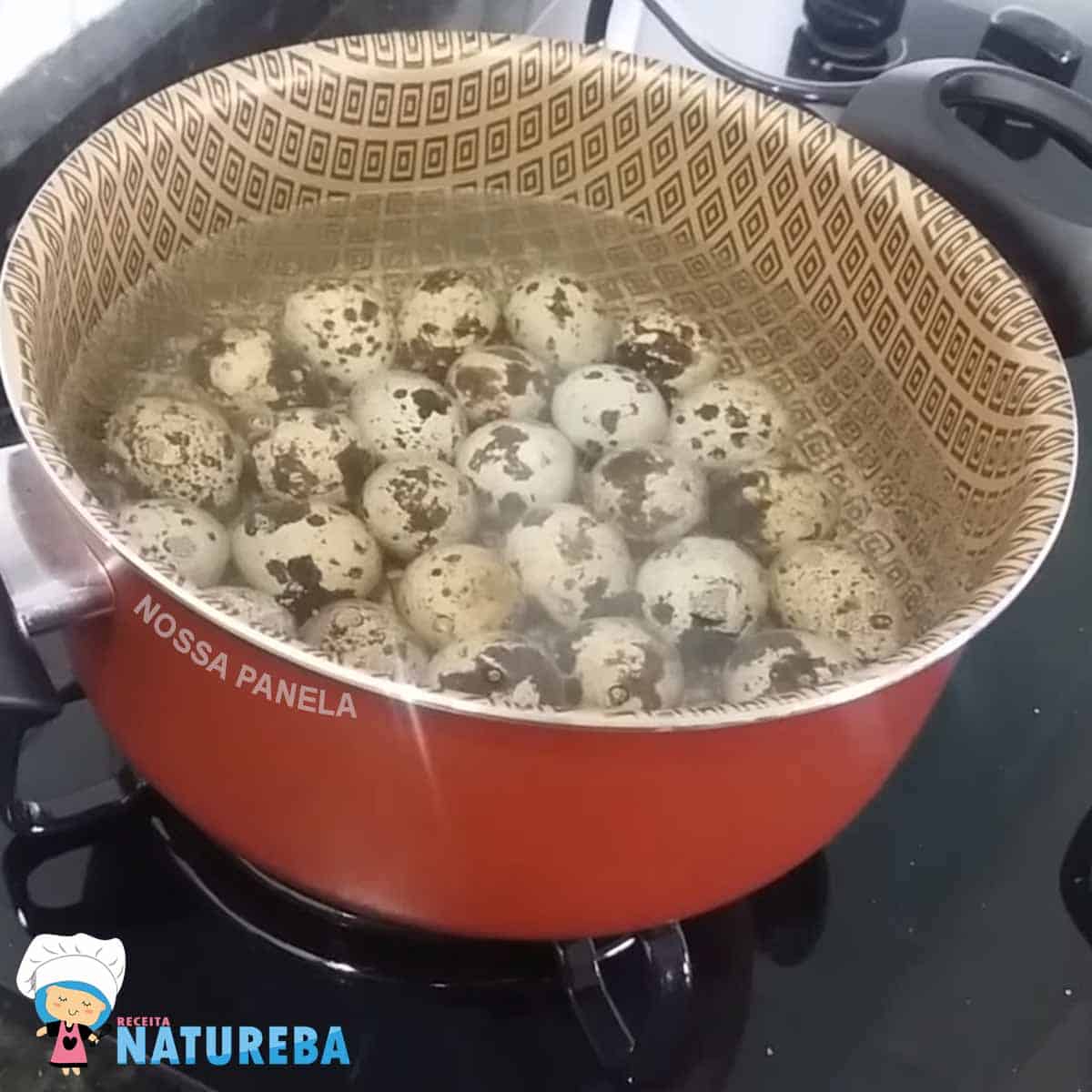 cozinhando ovos de codorna