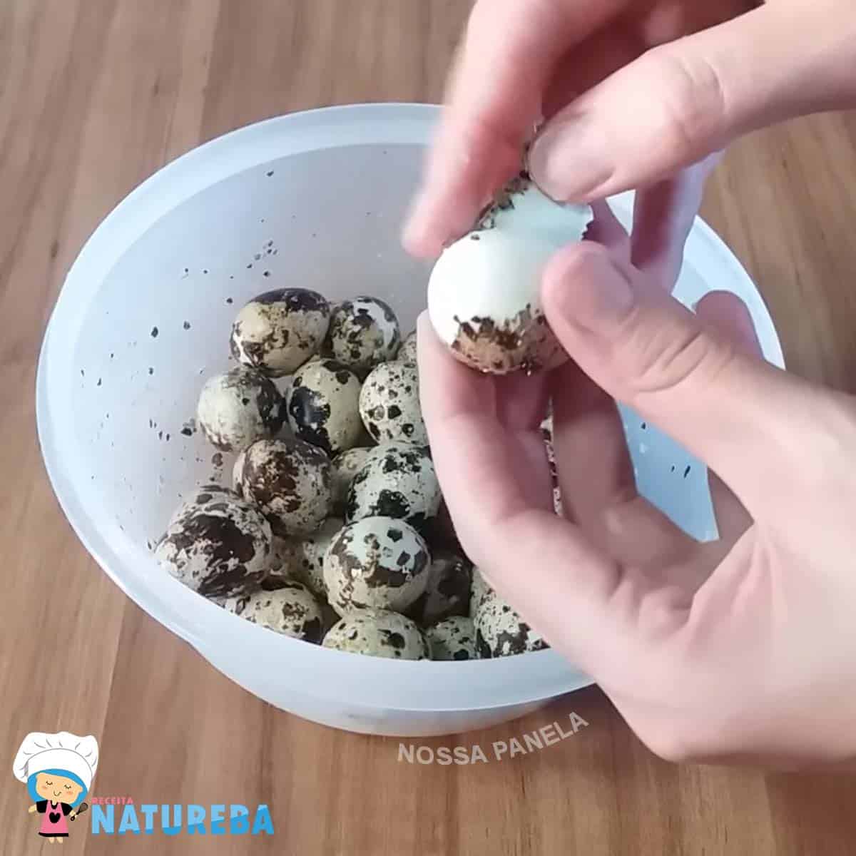 descascando ovos de codorna