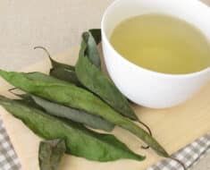 chá de folha de abacate