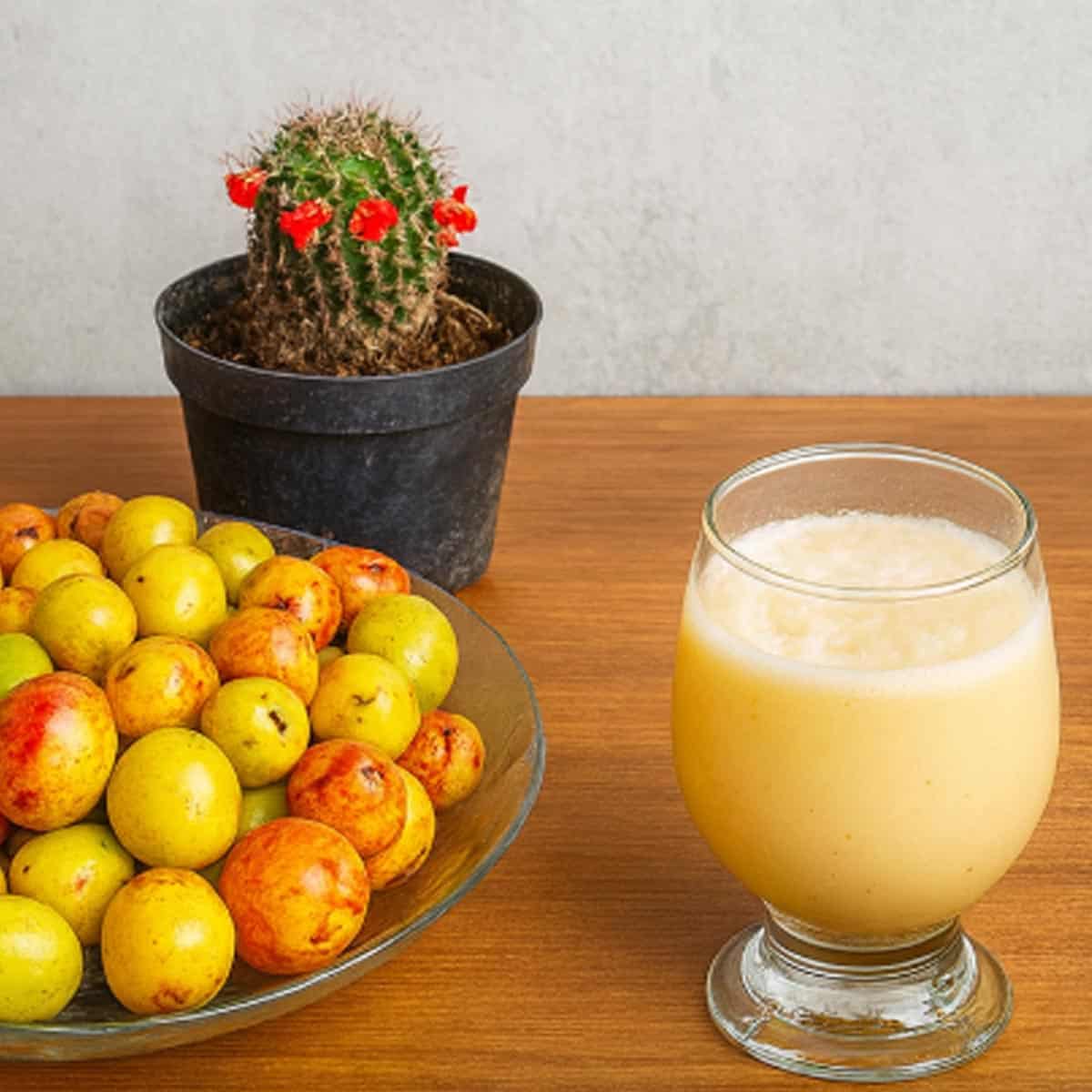 Mangaba Rudoczelna Suco de mangaba - Receita Natureba